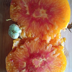Томат "Грейпфрут" (10 семян).